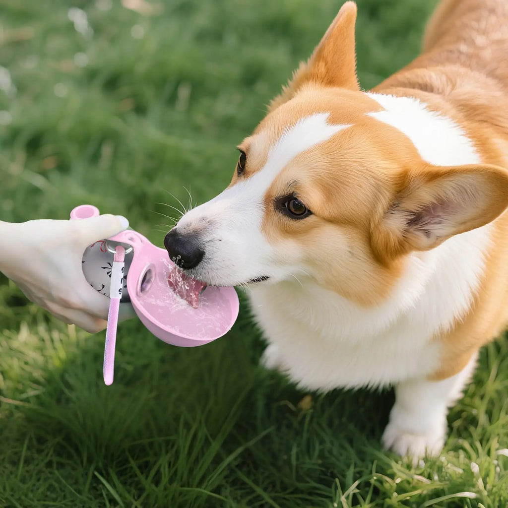 2-in-1 Portable Dog Water Bottle Stainless Steel&Silicon Leak-Proof Compact Dog Travel Water Bottle for Small Dogs