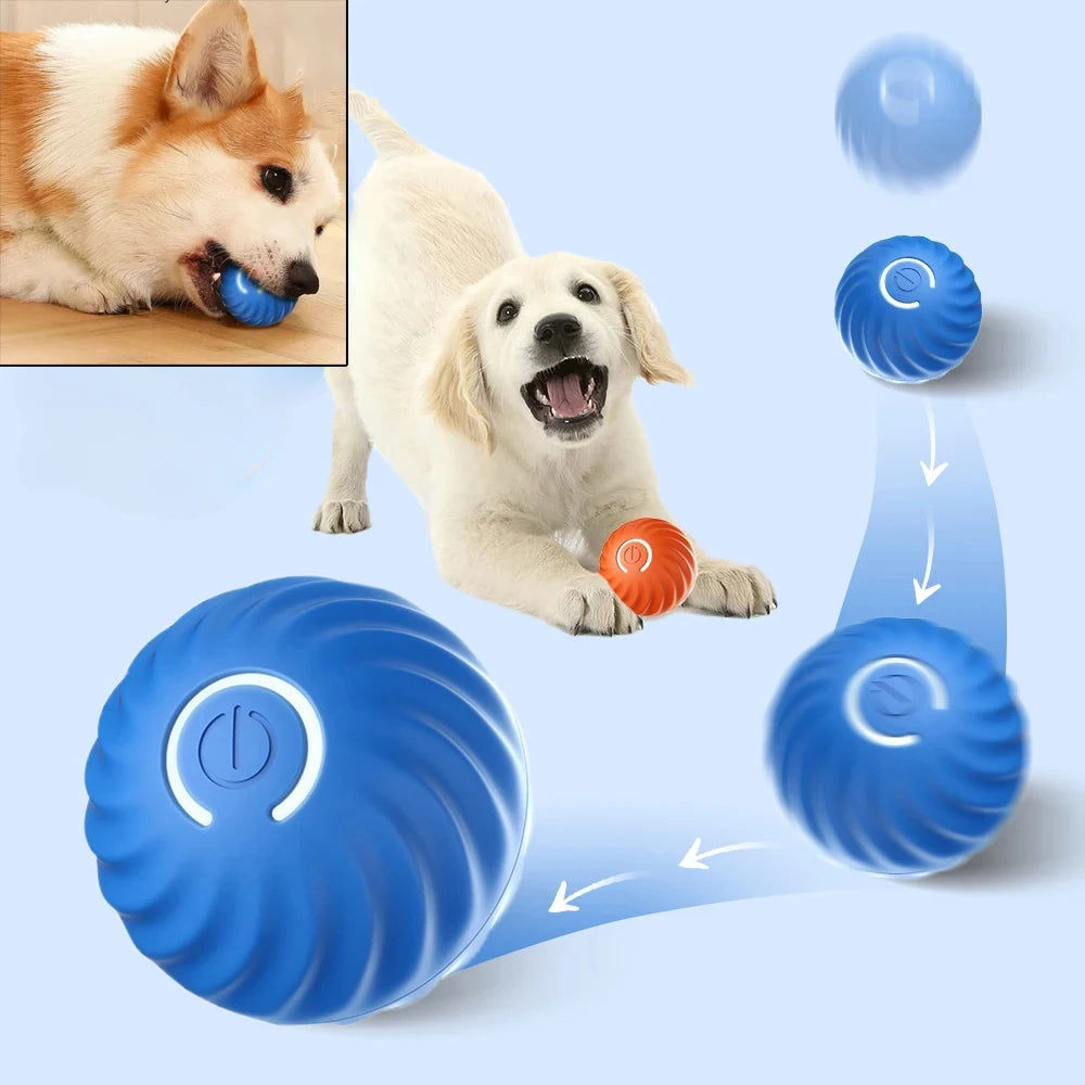 Automatic Interactive Dog Ball – USB Rechargeable