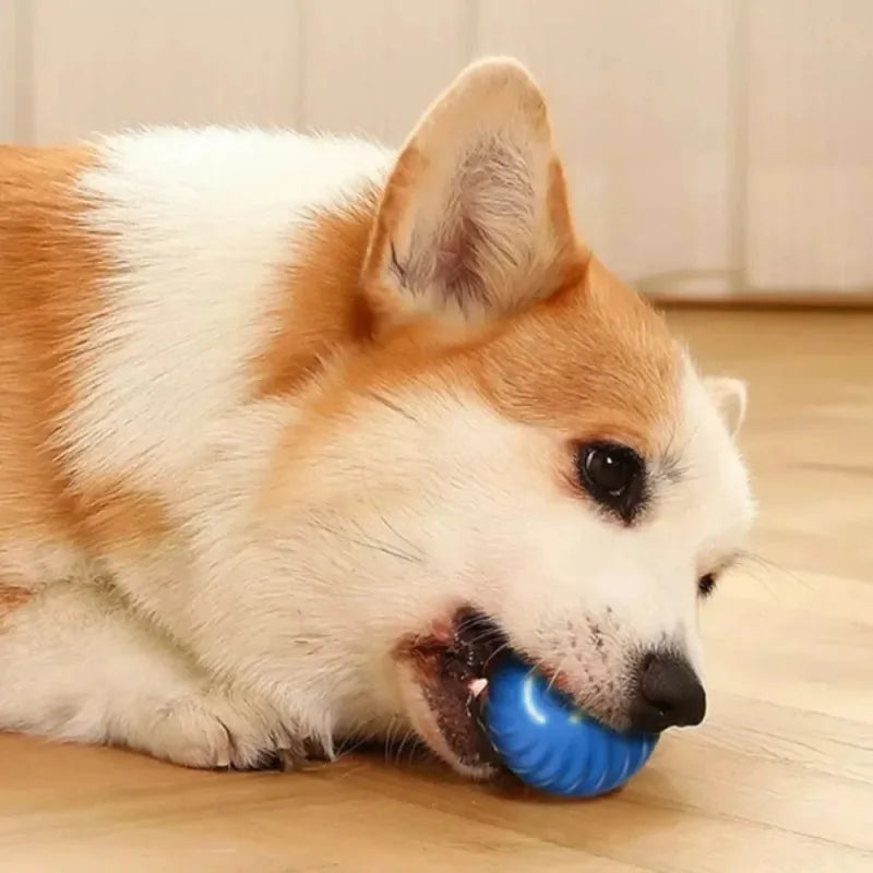 Automatic Interactive Dog Ball – USB Rechargeable