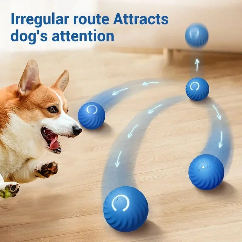 Automatic Interactive Dog Ball – USB Rechargeable