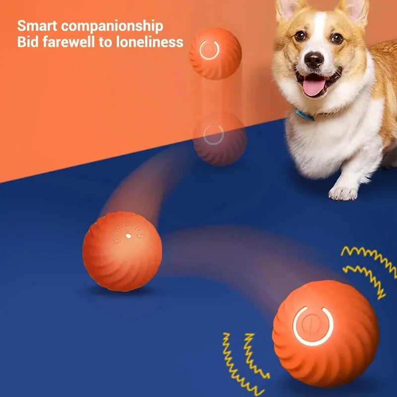 Automatic Interactive Dog Ball – USB Rechargeable