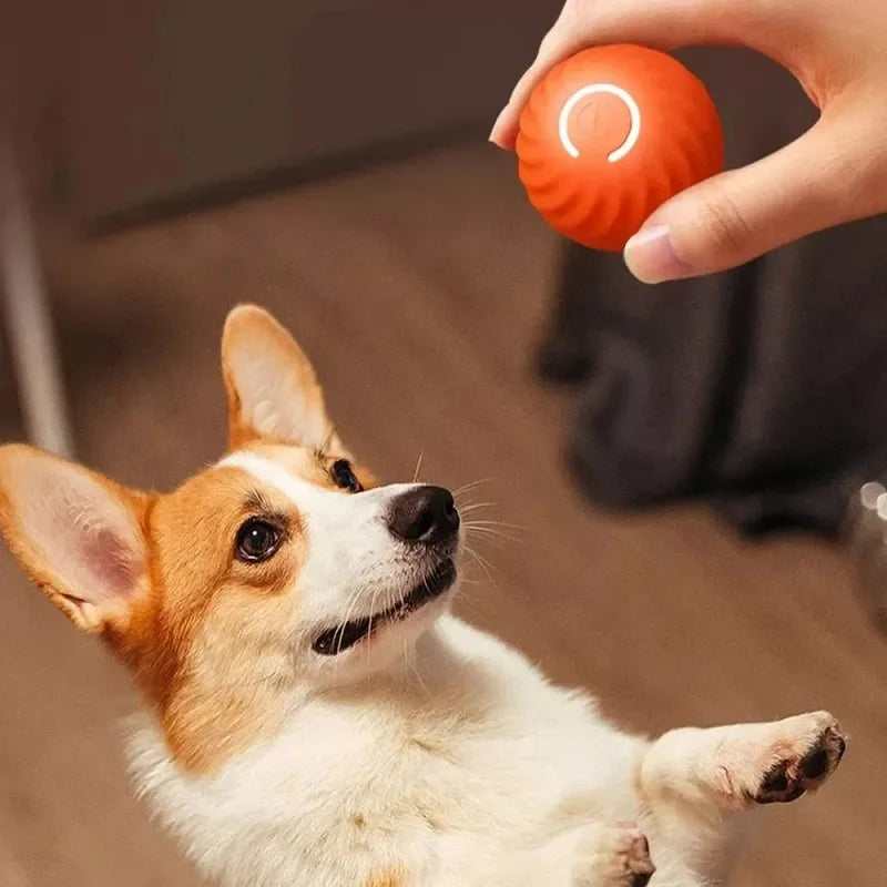 Automatic Interactive Dog Ball – USB Rechargeable